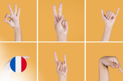 Langues des signes