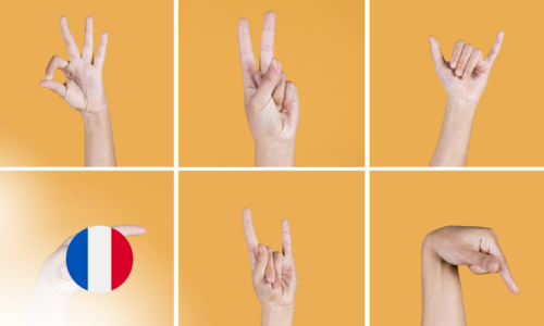 Langues des signes